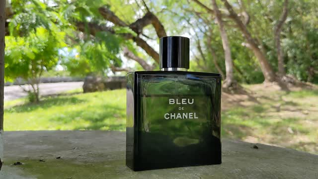 Chanel - Bleu de Chanel