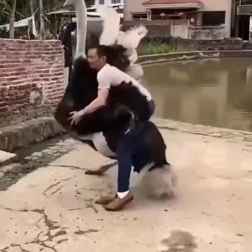 Very funny 🤣🤣🤣