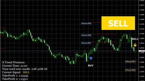 X Trend Premium action live