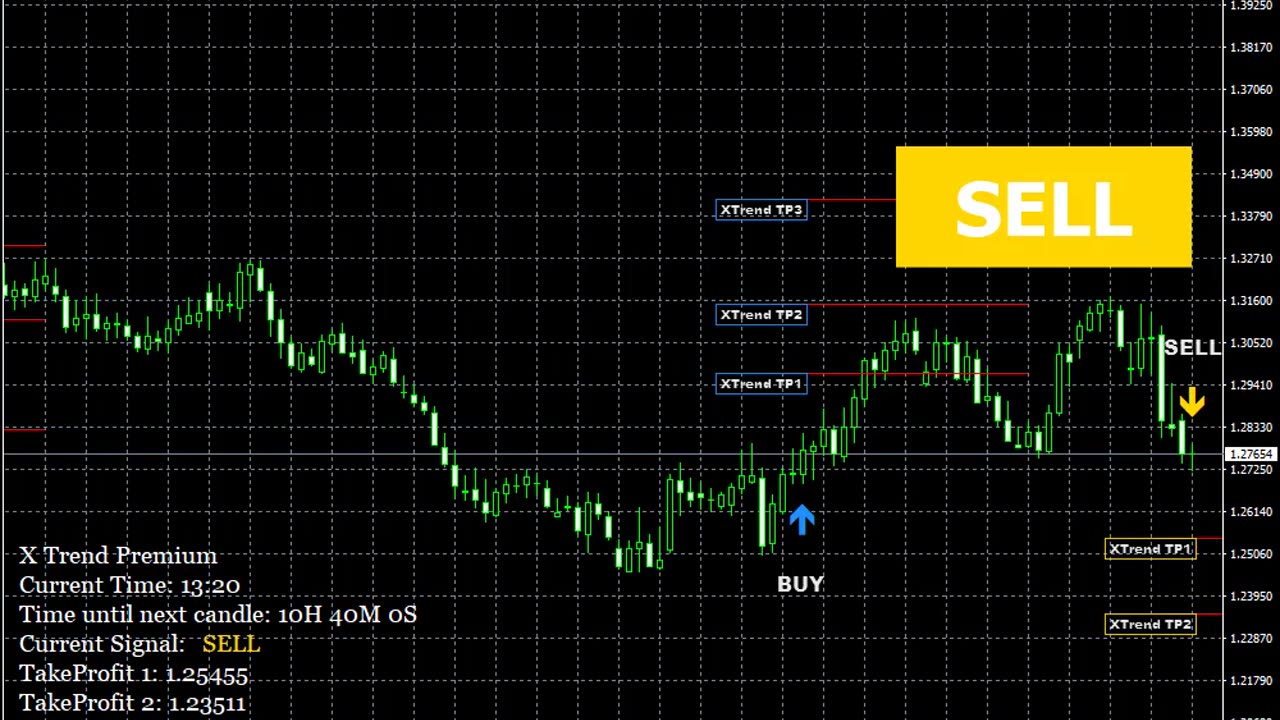 X Trend Premium action live