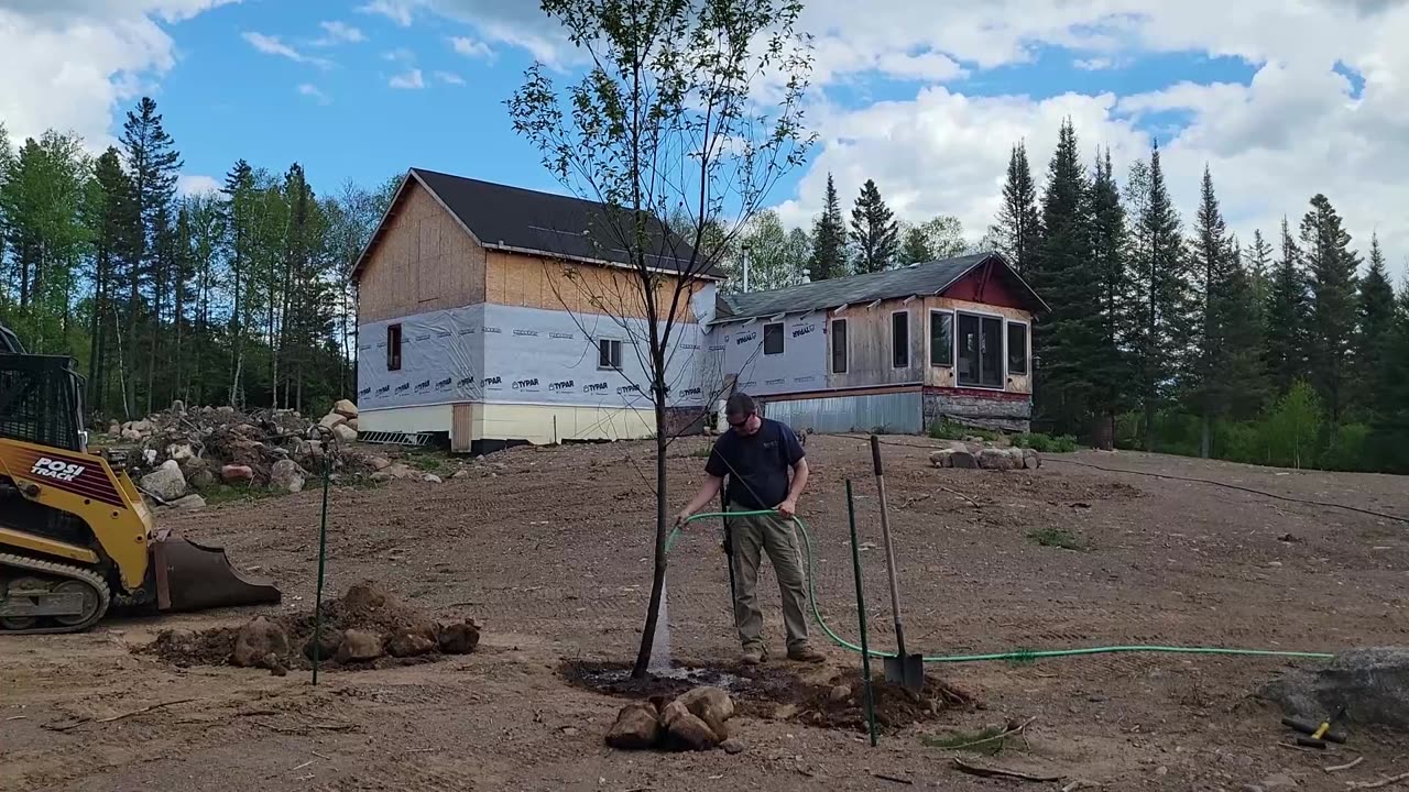 Cherry Tree Transplanting and First Fire