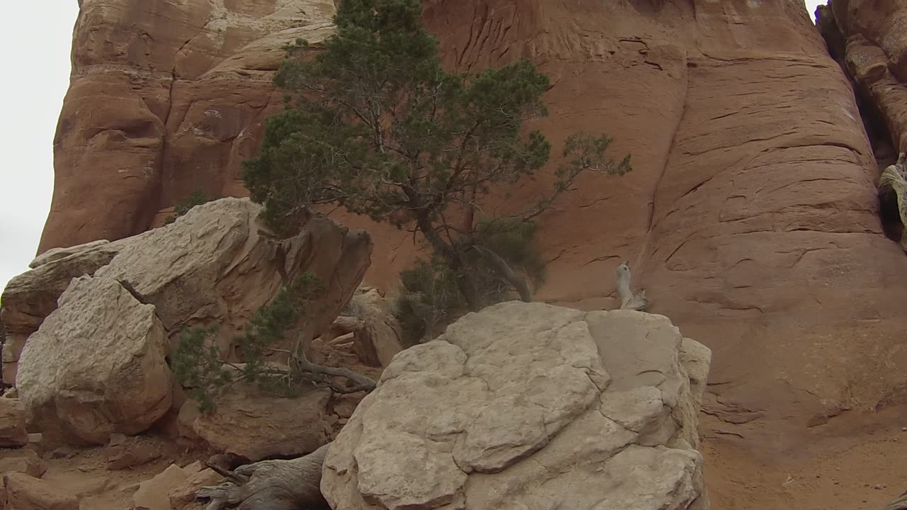 Up and through an arch