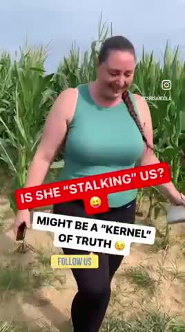 CORN FIELD ANTICS