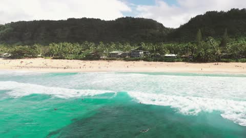 shore of ocean and swimming