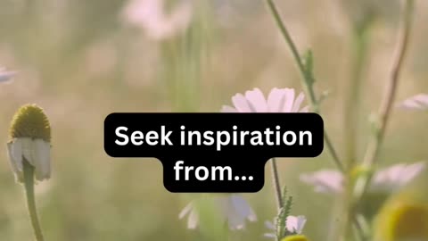 Seek inspiration from..