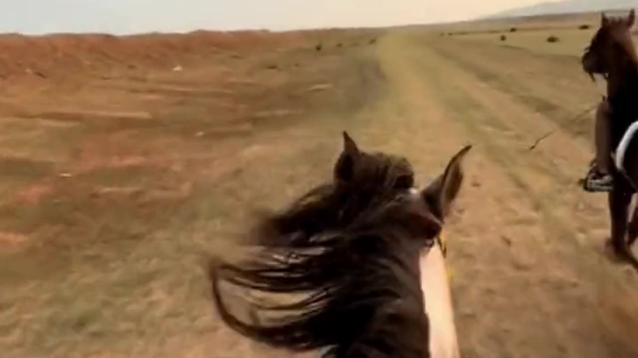 Don’t worry about the thousand-mile journey, the wind will come naturally