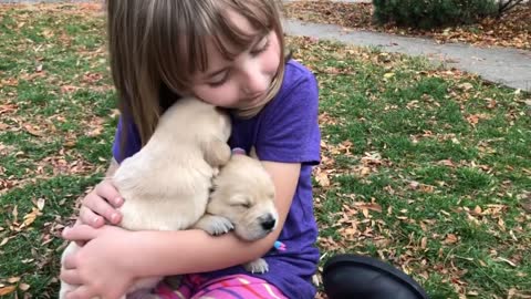Puppies First Time Outside