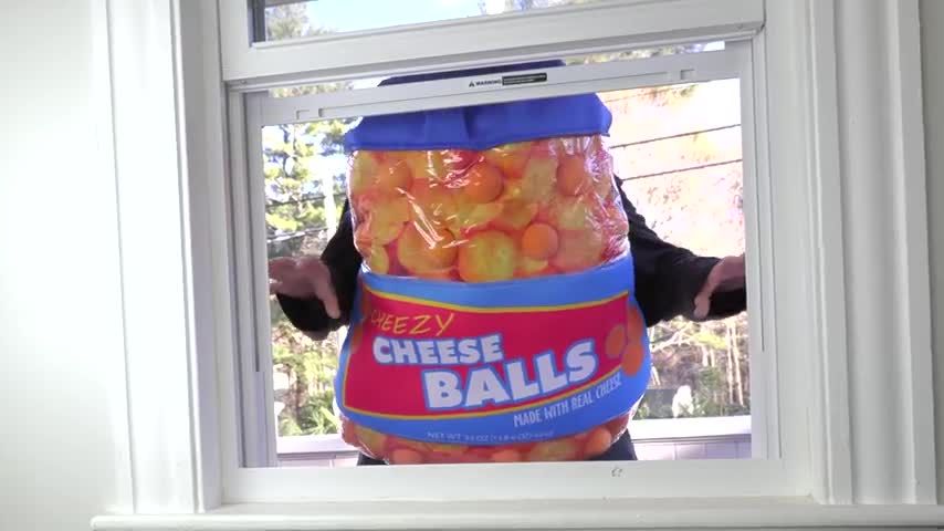 Giant Cheese Balls vs Funny Dogs Prank Funny Dogs Maymo, Potpie, Penny & Cute Puppy Dog Indie