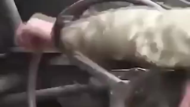 Ukrainian tank hunt using a drone & artillery