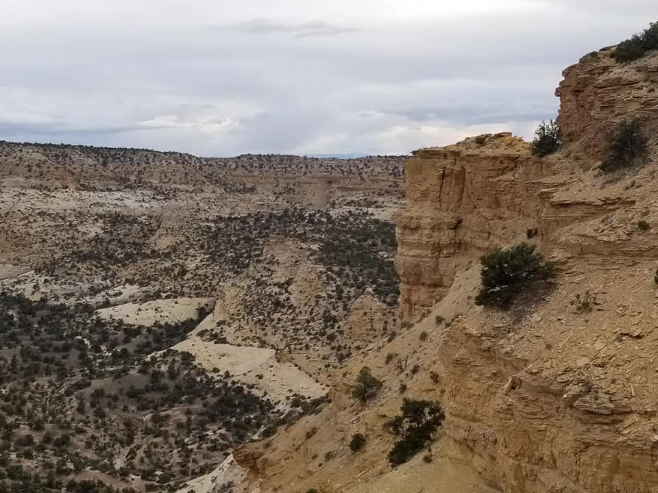 SouthWest American Scenery