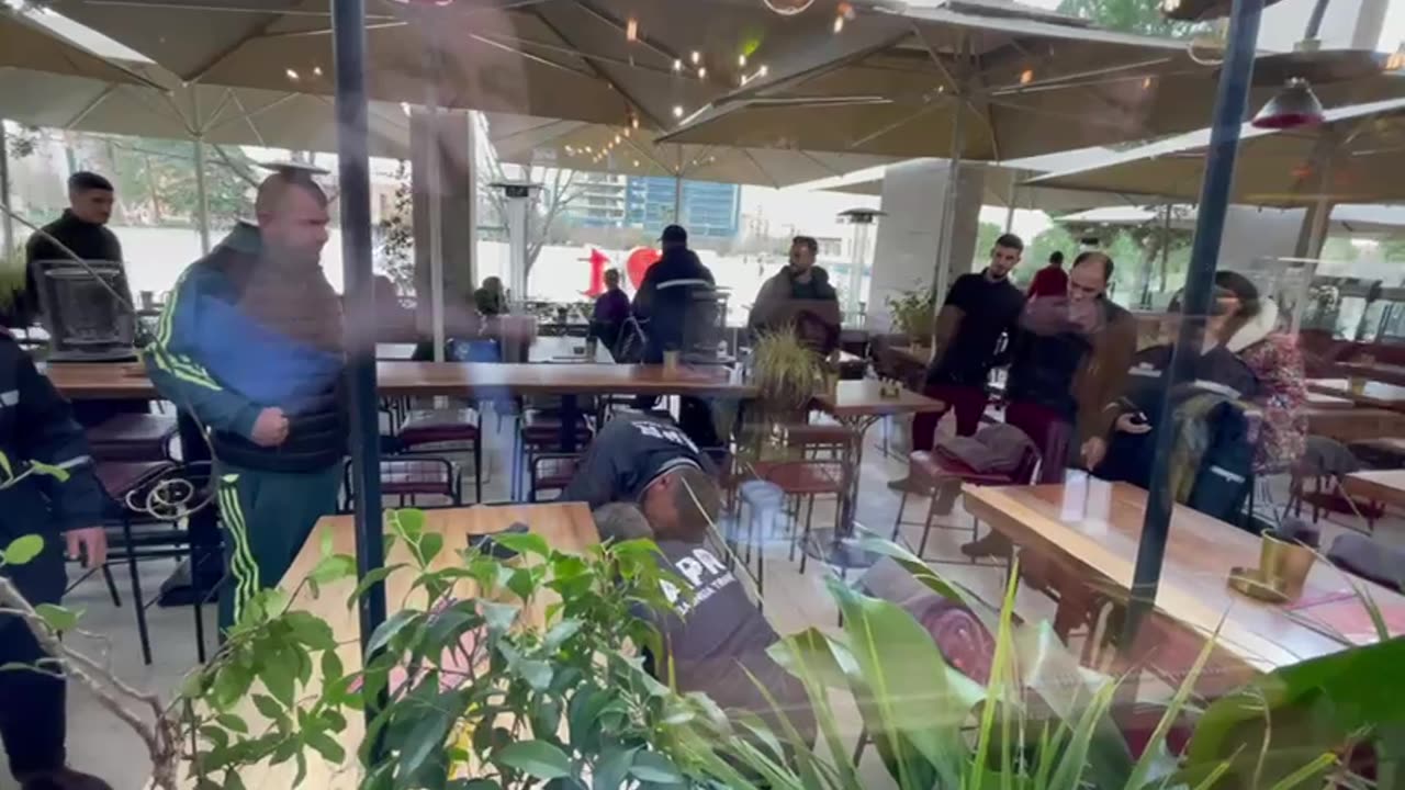Çakalli zbret në qendër të Tiranës