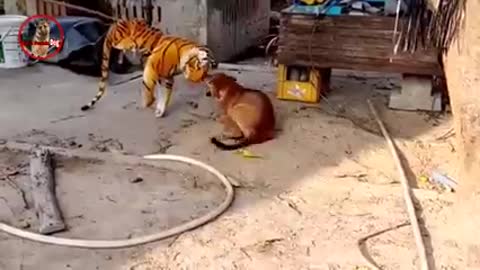 Prank On Dog With Fake Lion 🦁 & Fake Tiger 🐯