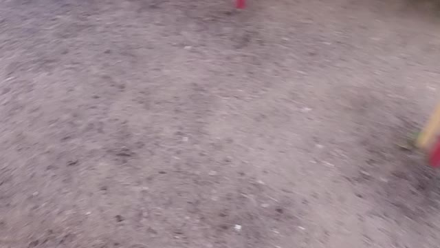 EXPLORING A PLAYGROUND