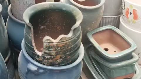 broken flower pot