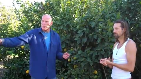 HOW TO PICK RIPE FRUIT - Dec 23rd 2011