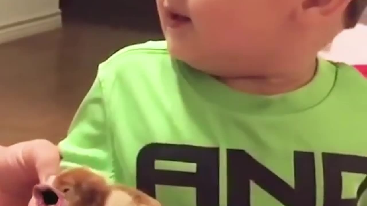 Funny and Fails Compilation; Must Watch!!!
