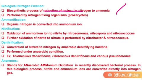 Nitrogen Cycle lectureAnimationbiologyPlant PhysiologyHindiRohit S Mane @ScientistRAcademy