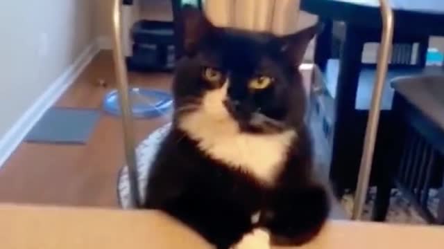 Mom, is the mealready