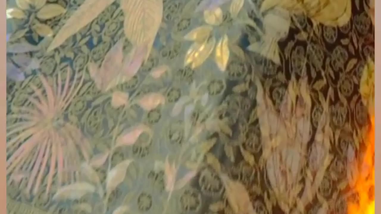 ∆ BEUTIFUL PRINT OF BANARASI SAREE ∆