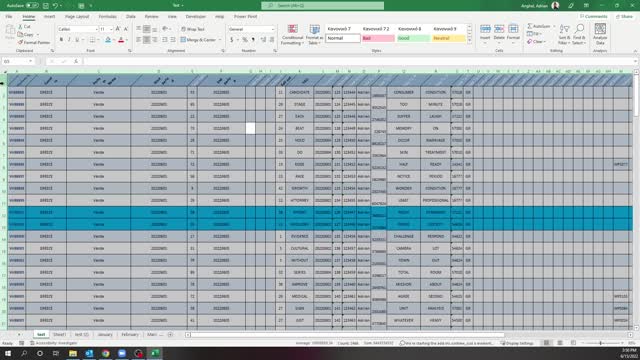 Excel Tips and Tricks 8