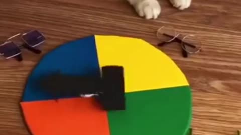 Cute And Funny Cat Videos Compilation 🙄🐱🐕