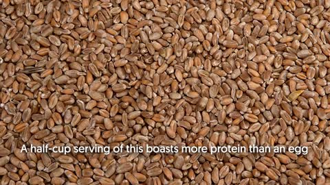 10 Surprising Foods HIGH in Protein