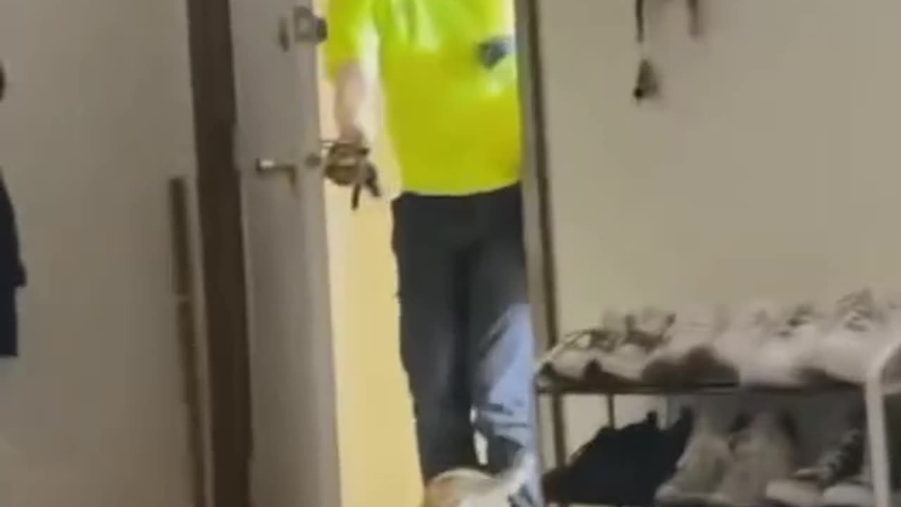 Funny cat😂