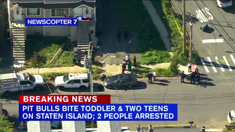 2 teens, toddler attacked by pit bulls on Staten Island