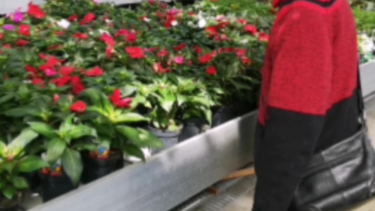 2023 春天