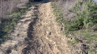Sunday hike and Trip to the beach