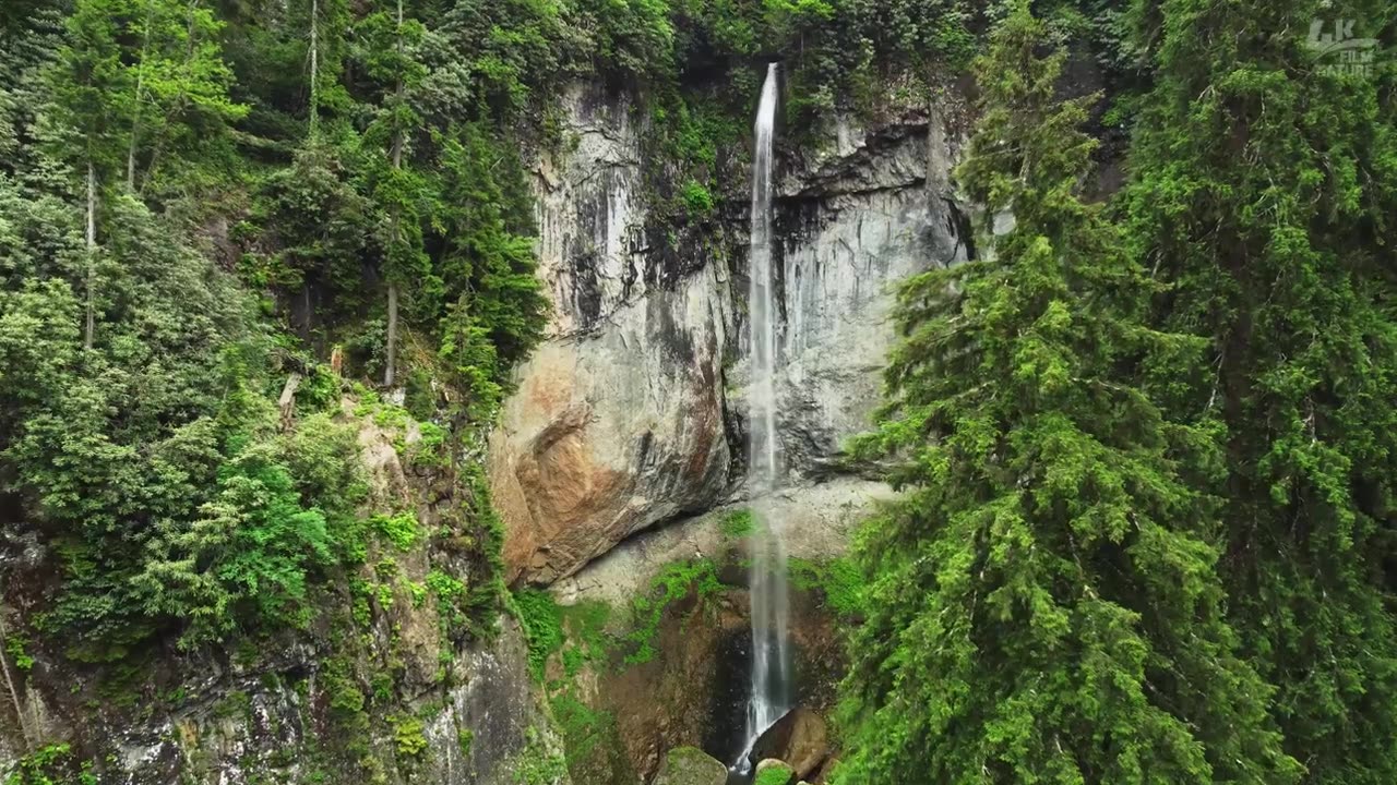 Relaxing Stress Free Music - Nature Video - Peaceful