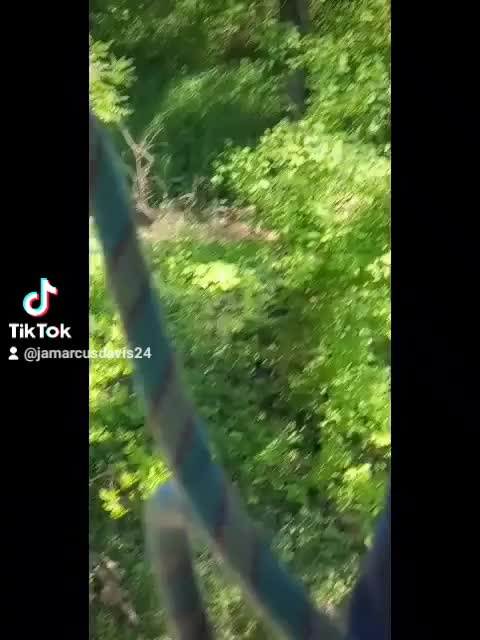 Look At Me Ziplining