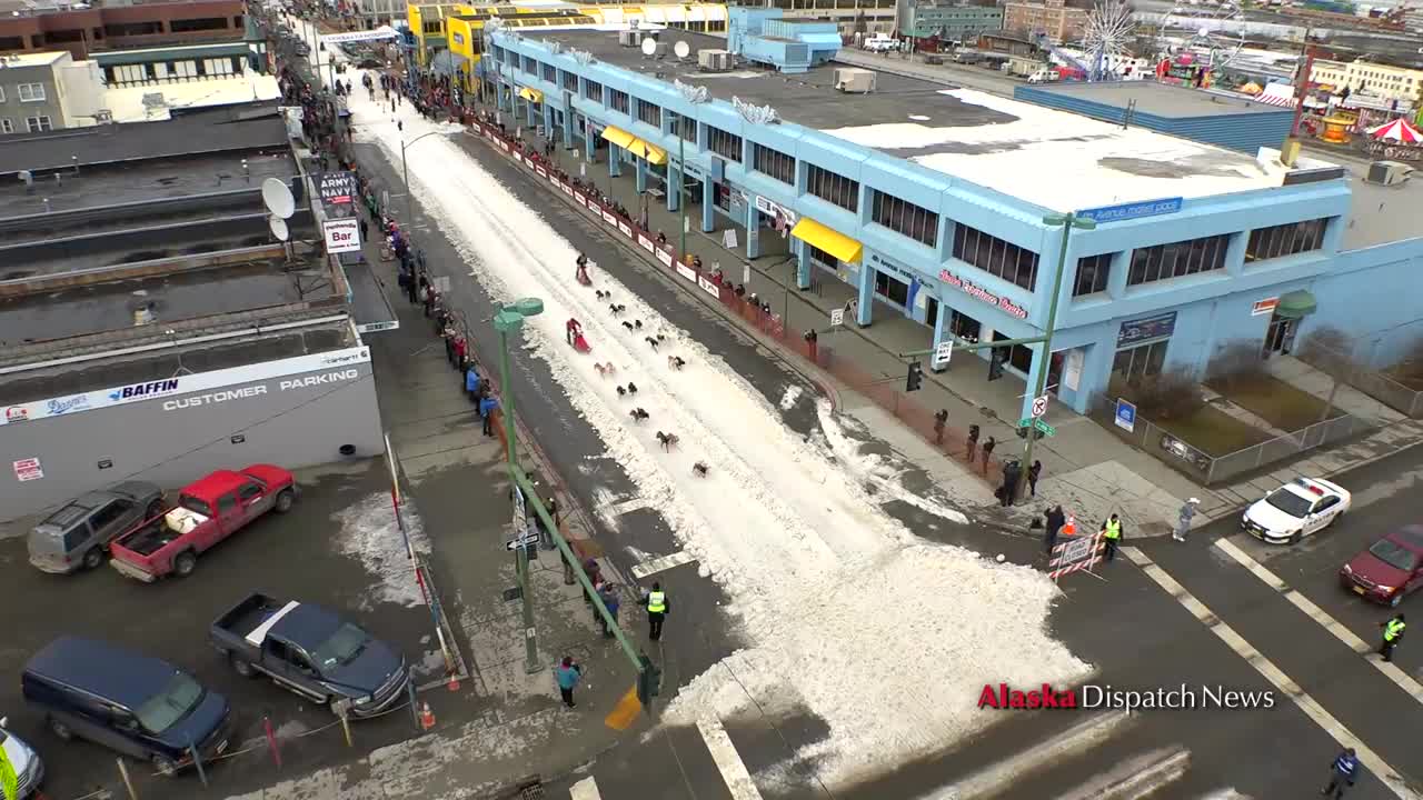 Sprint sled dog race through Anchorage