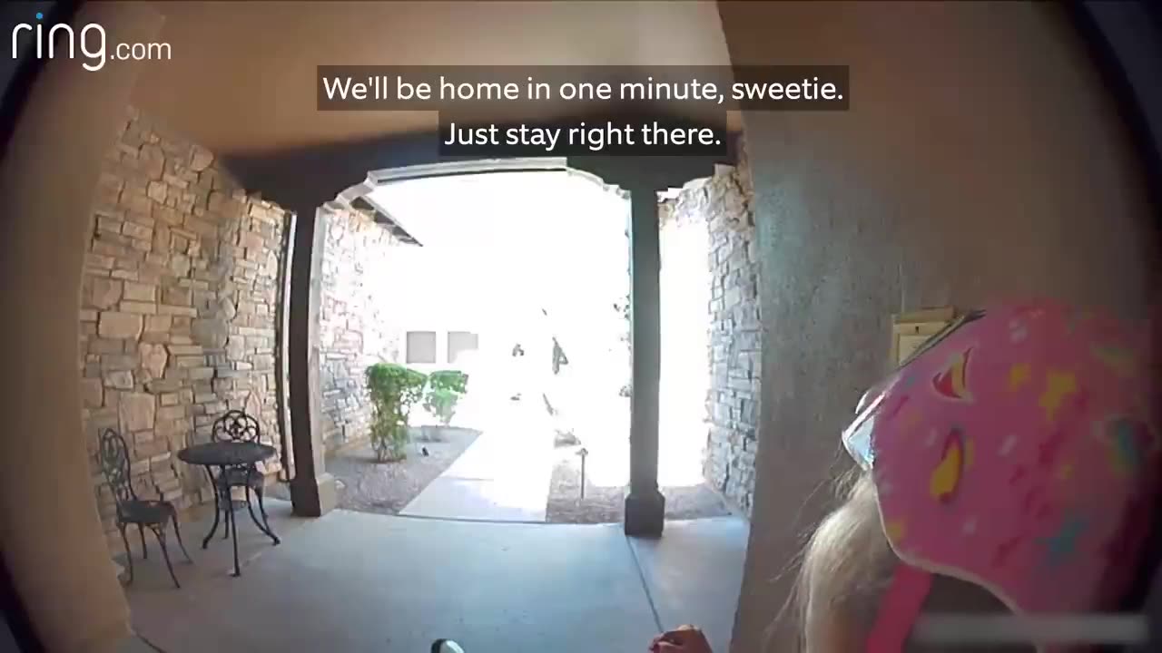 Taylor runs from Bob cat and begs neighbor on ring cam to let her in