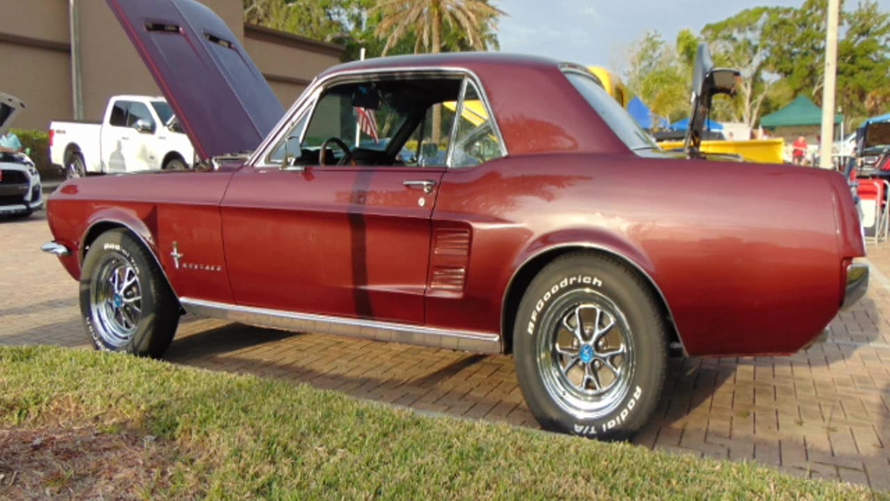 Suncoast Mustang Club 2023 Show