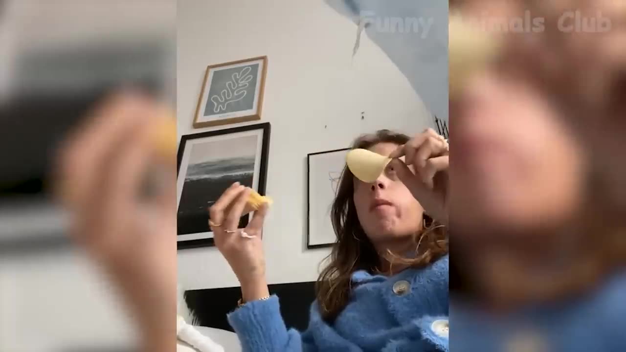 Funny Cats and Dogs Videos 🤣 - Funniest Animal Videos 2023! 🥰