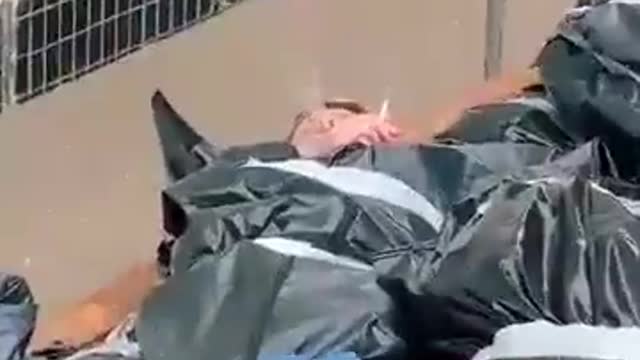 What do you think is happening in the video?
