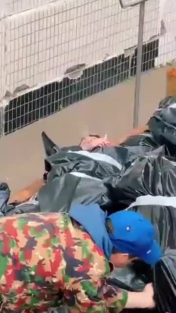 What do you think is happening in the video?