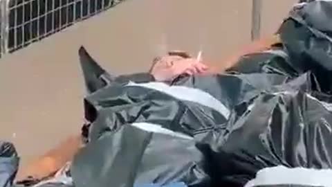What do you think is happening in the video?