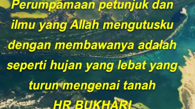 Perumpamaan petunjuk dan ilmu yang Allah mengutusku dengan membawanya adalah seperti hujan