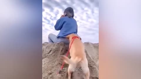 Funny animal video 🤣🤣