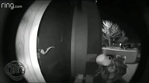 Porch thieves caught on camera