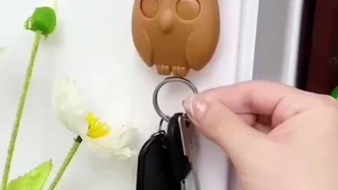 Amazing Key Holder 😍