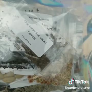 Get Your Seeds Before It Is Too Late!!!