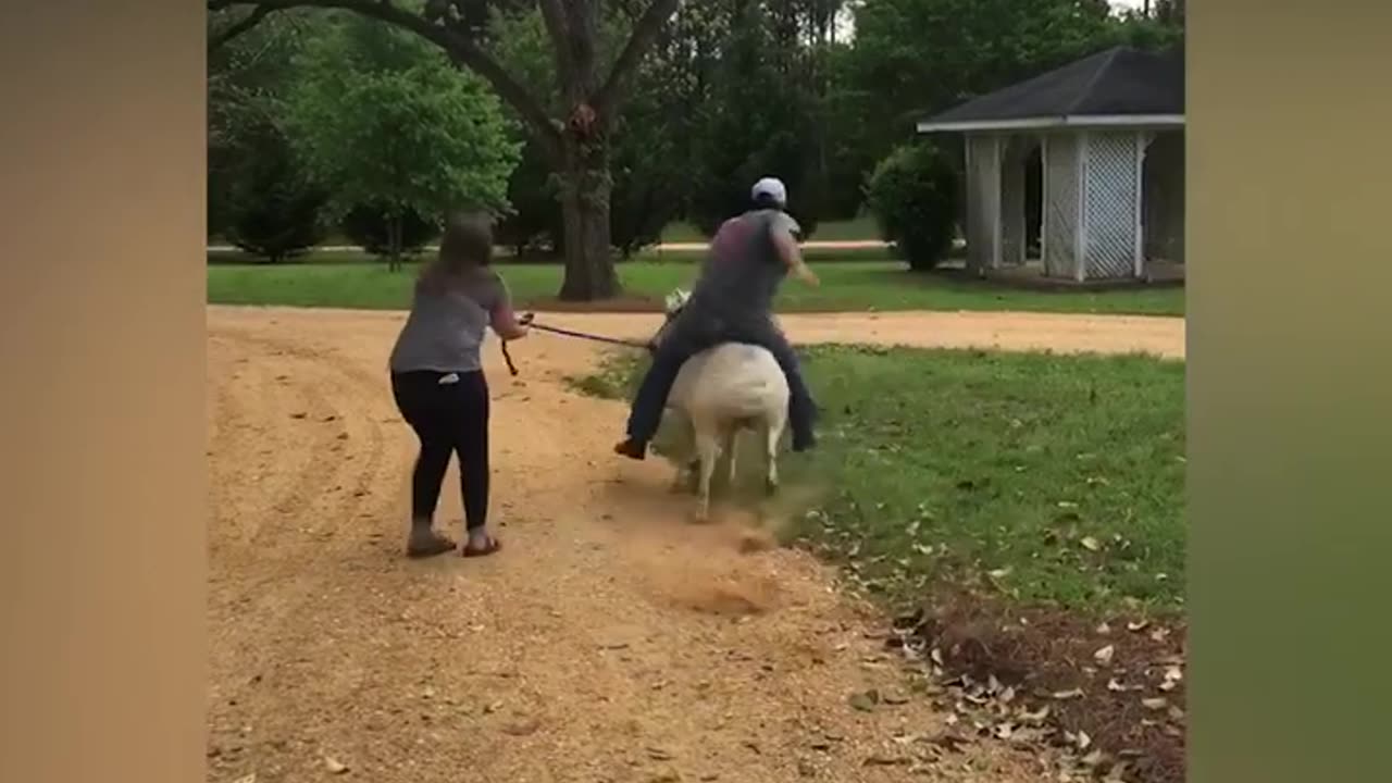 Funny fails video MD #funny videos