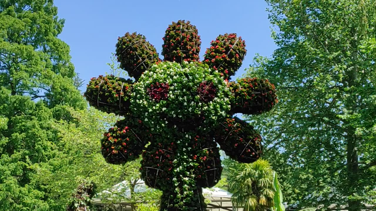 Die Blumeninsel im Bodensee