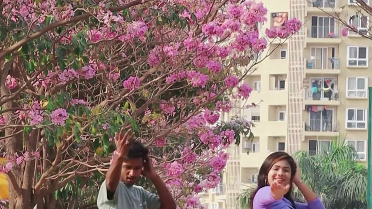 Indian song sanak (badshah)