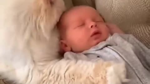 Funny cat sleeping with 👶