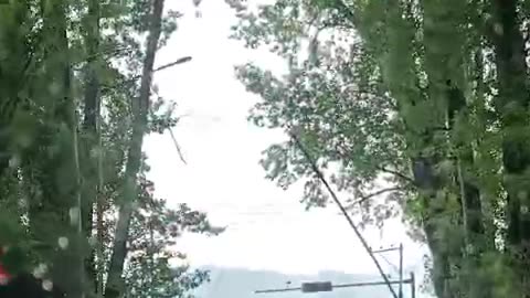 In kashmir india