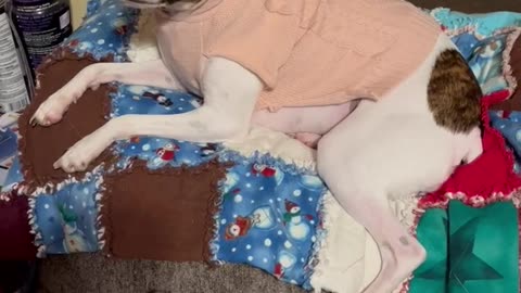Princess loves her hoodie sweater